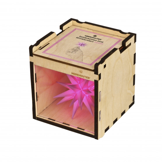 Sammelbox Miniaturstern Leerbox