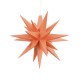 Miniaturstern apricot - Sonderedition 2026