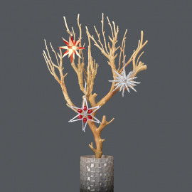 Rautis - Geschenkset mit Miniaturstern